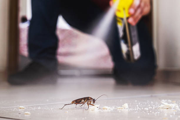 Professional Pest Control in Crosby, ND