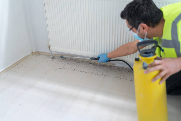 Best Pest Prevention Services  in Crosby, ND